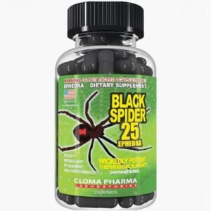 Black Spider