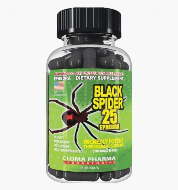 Black Spider